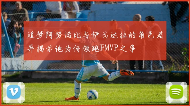 追梦阿努诺比与伊戈达拉的角色差异揭示他为何领跑FMVP之争
