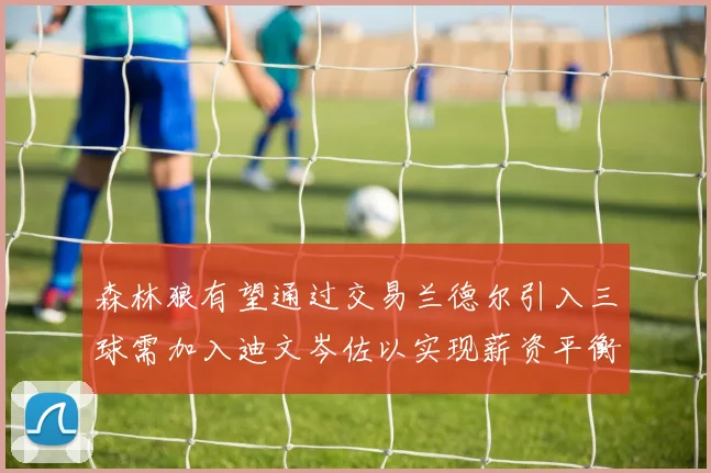 森林狼有望通过交易兰德尔引入三球需加入迪文岑佐以实现薪资平衡