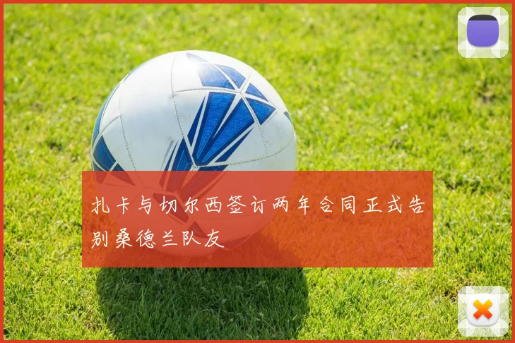 扎卡与切尔西签订两年合同正式告别桑德兰队友